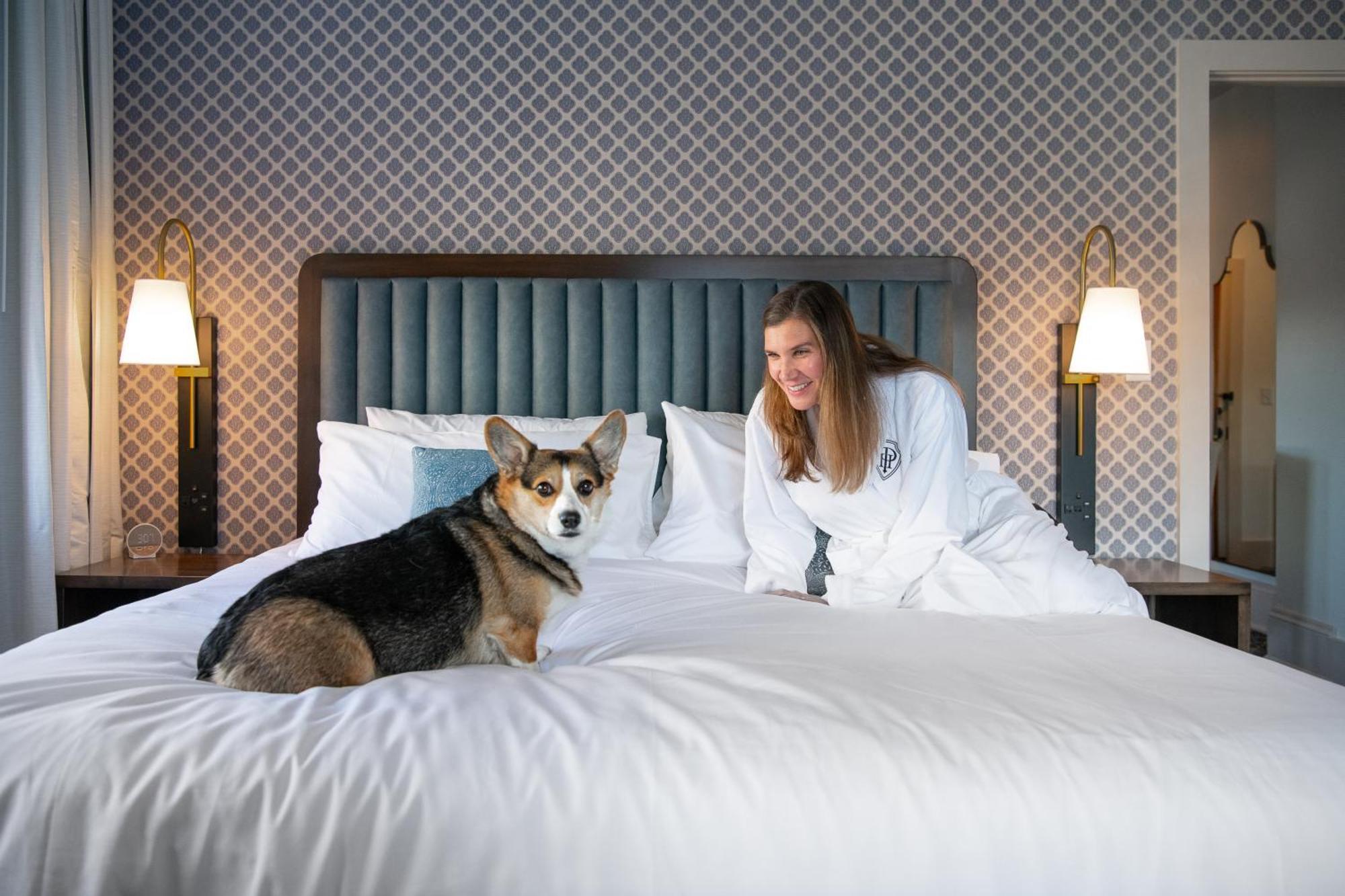 Hotel Petersburg, Tapestry Collection By Hilton Exterior photo